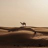 ٰ⁶⁶'s profile picture