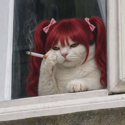 m's profile picture