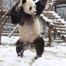 銀ぢ 的头像