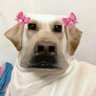 まな's profile picture
