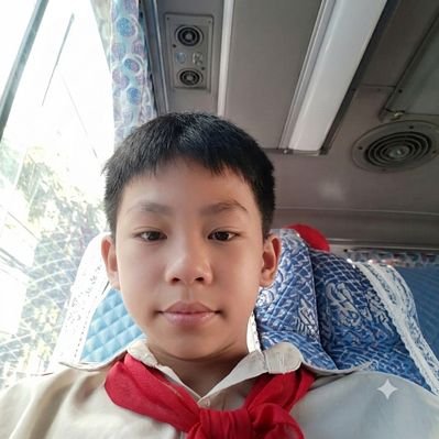 VanNguyen187760's profile picture