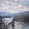 Profilbild von Drina Plavsic