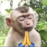 ayy's profile picture