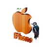 いのうえ profil fotoğrafı