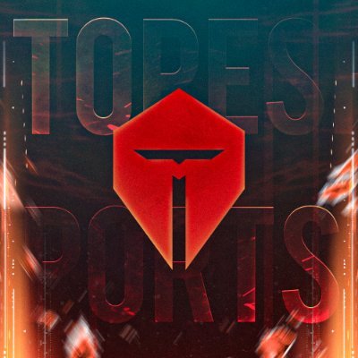 TOP_Esports_'s profile picture