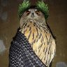 Julio Ceasar's profile picture