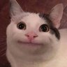 Profilbild von Igor