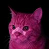 Lutung - Ludruk Tunggal's profile picture