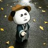 wangtongming's profile picture