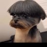 Holy Toledo's profile picture