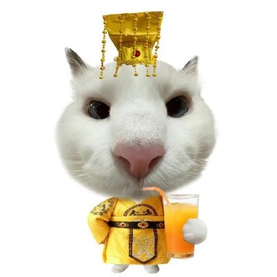 Oxzenith_zn's profile picture