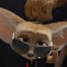 𑣲 finny's profile picture