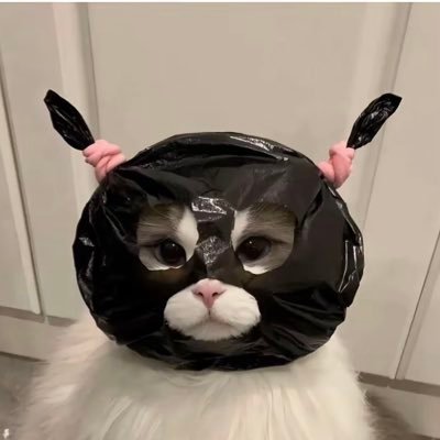 babyyinggi's profile picture