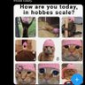 Hobbes Maxi profil fotoğrafı