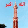 عمران عمر profil fotoğrafı
