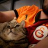  mrtcn profil fotoğrafı