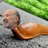 Howard Slugnick ❌💿❌💰 profil fotoğrafı