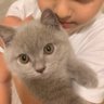 Rana profil fotoğrafı
