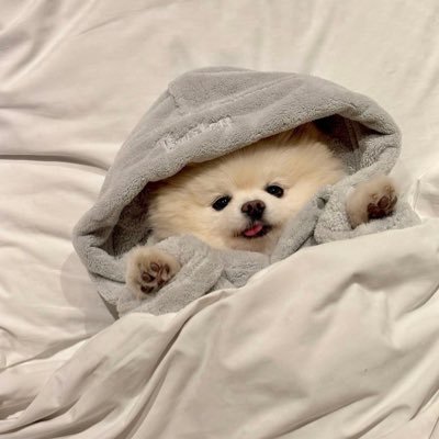 agu2m0's profile picture