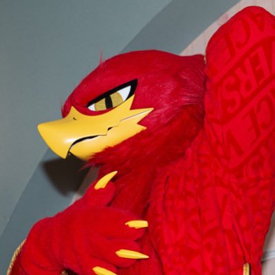 🦅Akadori CEO🦅's profile picture