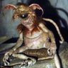 Profilbild von eww