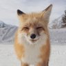 Profilbild von латте