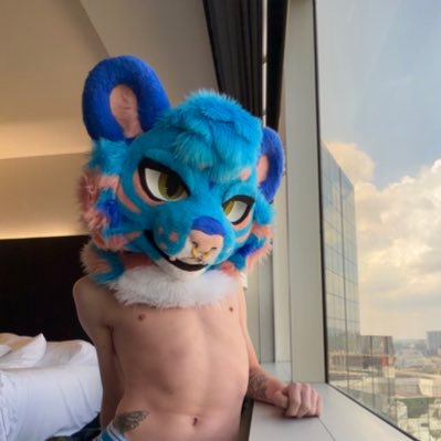 Teo 🦋's profile picture