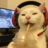 Satoki's profile picture