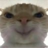 ˚Niva✦'s profile picture