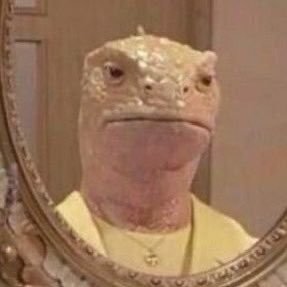 jesquinhe's profile picture