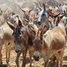 Фото профиля خرچرون