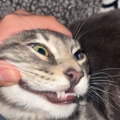 Oishiiii69's profile picture