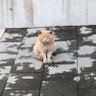 帥 profil fotoğrafı