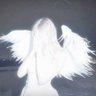 Profilbild von seika