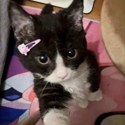 curlyheadbebe's profile picture