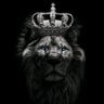MrMulaudzi.๐๐'s profile picture