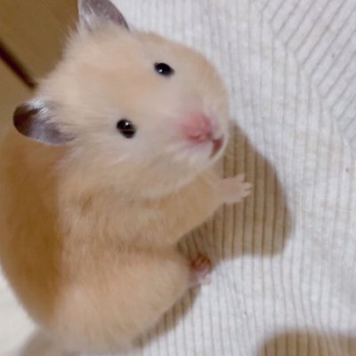 nathenlsihxxa's profile picture