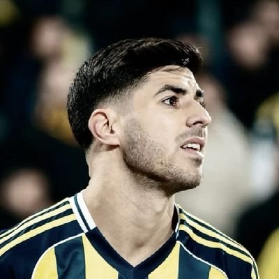 fenergozdee's profile picture