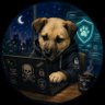 Фото профиля CiberSecDog