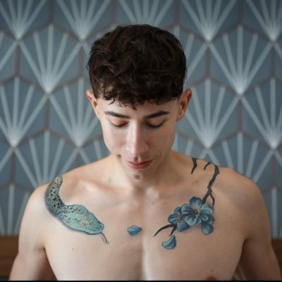 VincentOReillyX's profile picture