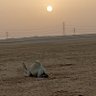 AM Khan profil fotoğrafı