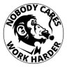 cody Toad's profile picture