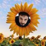 Sunshine🌻 profil fotoğrafı