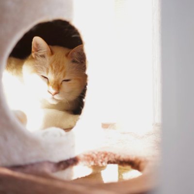 phoeemkkxuptn's profile picture