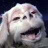 WhatsItSayAboutMe's profile picture