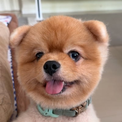 MoshiJB's profile picture