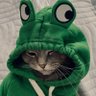 Profilbild von lord