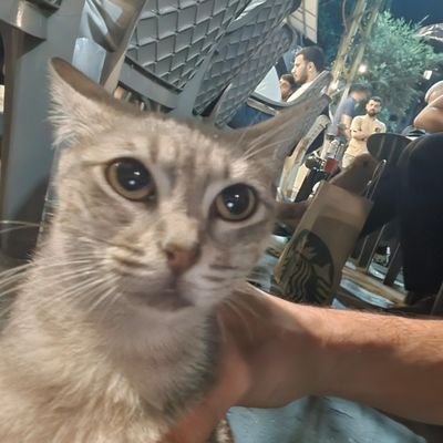alhadii22's profile picture