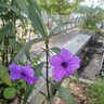 农艺 profil fotoğrafı