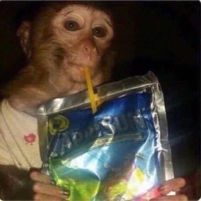 yağmur🐒's profile picture